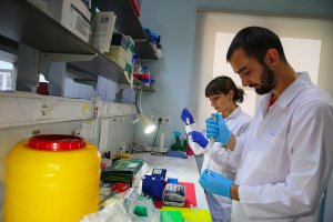 Türk bilim insanları 4 ölümcül virüs tesbit etti