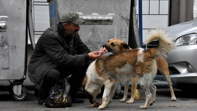 Sokak hayvanları sevgisi hayata bağladı