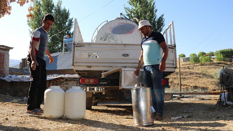 Köyleri gezen süt toplama tesisi, 700 aileye ekmek kapısı oldu