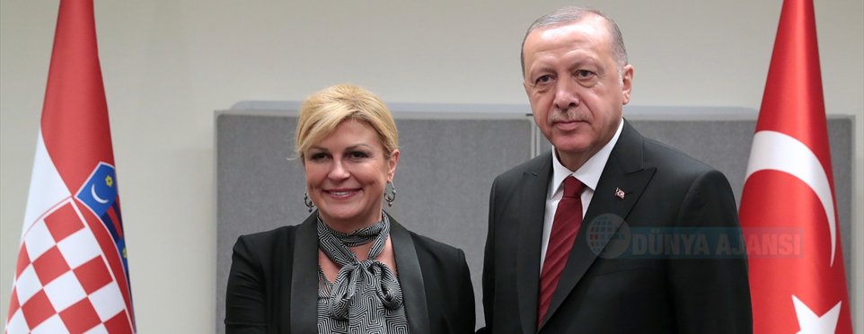 Cumhurbaşkanı Erdoğan, Kitaroviç ile görüştü