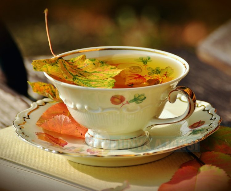 'Türkiye'de oolong çayı renk ve aromasıyla dikkat çekiyor'