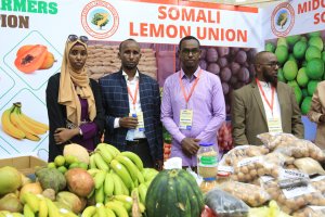 Somali'nin ilk tarım fuarı 'Somturk Agro Expo 2019' açıldı
