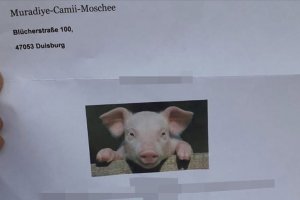 Camiye domuz fotoğraflı hakaret içeren mektup gönderildi