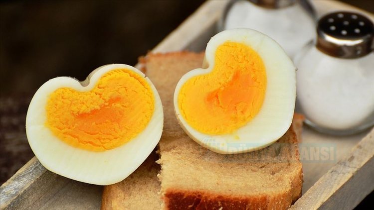 Yumurta kalp hastalığı riskini artırmıyor