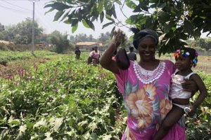 TİKA'dan Gine'de kadınlar için tarım istihdamı