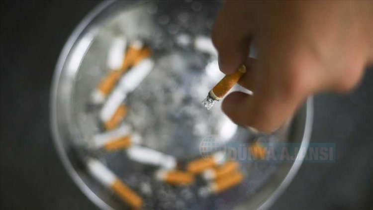 'Fahri sigara denetçiliği'ne STK'lardan tam destek