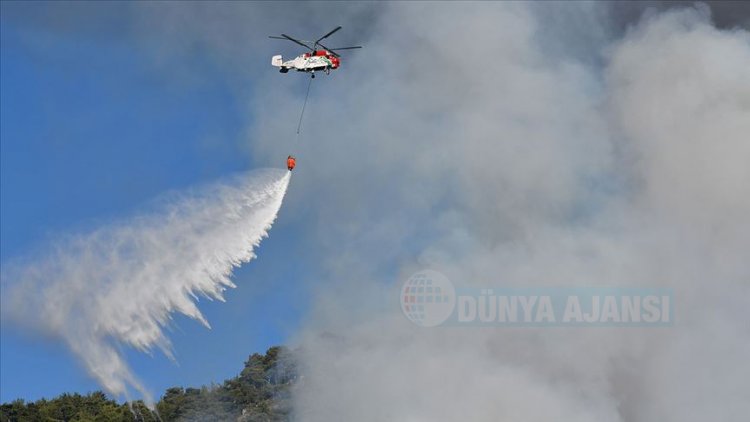 İzmir ve Manisa'daki yangınlar kontrol altına alındı