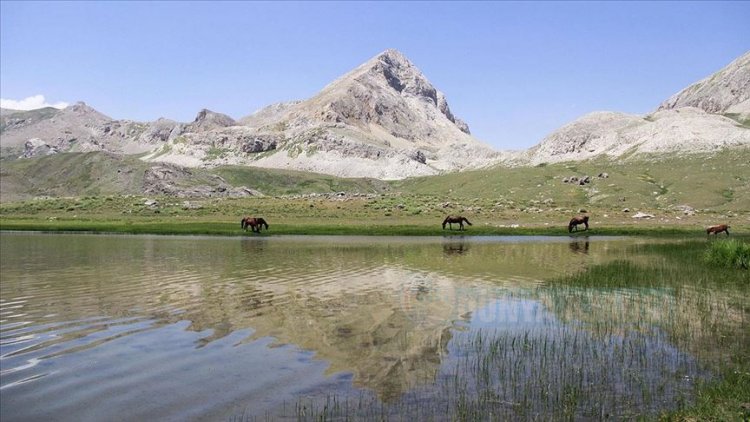 Doğa tutkunlarının uğrak adresi: 3 bin 377 rakımlı Kepır Gölü