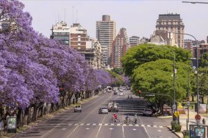 Jakaranda ağaçlarının renklerine bürünen Arjantin sokakları
