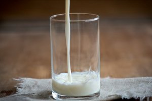Keçi sütü içerisinde Kovid-19'a karşı etkili protein