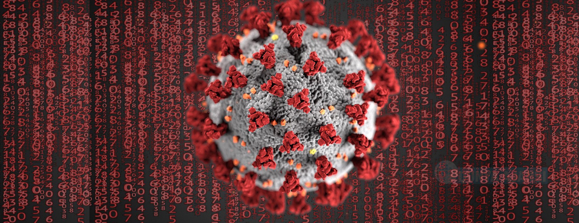 Almanya ve Türkiye’de koronavirüs salgınında son 24 saat 
