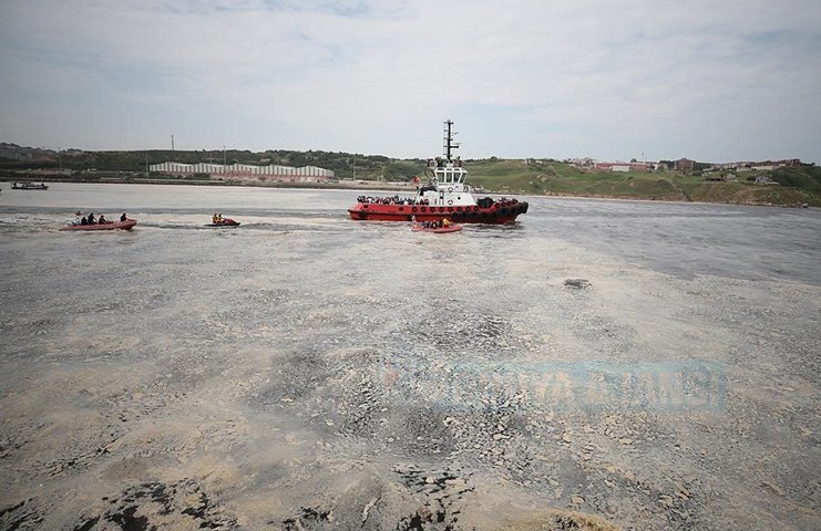 Marmara Denizi'nde deniz salyası temizleme seferberliği başladı