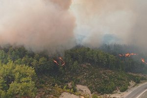 Türkiye'de 6 günde 144 yangın çıktı, 134'ü kontrol altına alındı